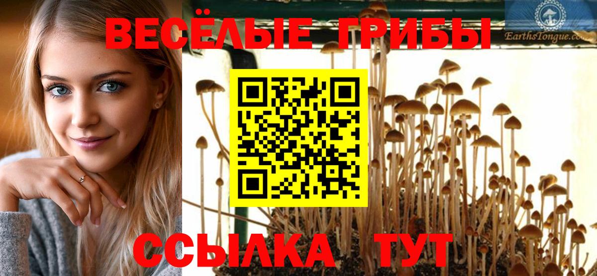 даркнет сайт  Псилоцибиновые грибы Magic Shrooms  Вход с VPN  Галлюциногенные грибы Magic Shrooms  Сафоново 
